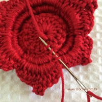 Flor para aplicações passo a passo (53)