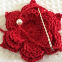 Flor para aplicações passo a passo (56)
