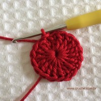 Flor para aplicações passo a passo (6)