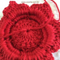 Flor para aplicações passo a passo (60)