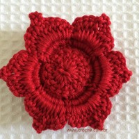 Flor para aplicações passo a passo (62)