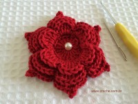 Flor para aplicações passo a passo (64)