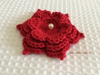 Flor para aplicações passo a passo (69)