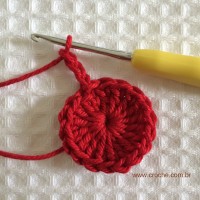 Flor para aplicações passo a passo (7)