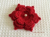 Flor para aplicações passo a passo (70)