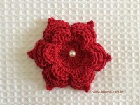 Flor para aplicações passo a passo (73)