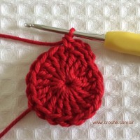 Flor para aplicações passo a passo (8)