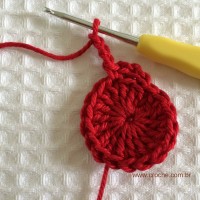 Flor para aplicações passo a passo (9)