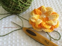 Folha com biquinhos (1)