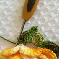 Folha com biquinhos (12)