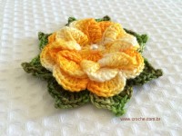 Folha com biquinhos (18)