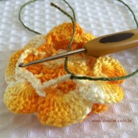 Folha com biquinhos (2)