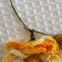 Folha com biquinhos (3)