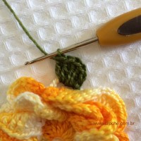 Folha com biquinhos (4)