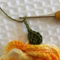 Folha com biquinhos (5)