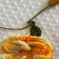 Folha com biquinhos (6)