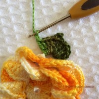 Folha com biquinhos (8)