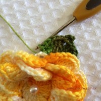 Folha com biquinhos (9)