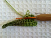 Folha palma passo a passo - www.croche.com (14)