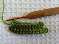 Folha palma passo a passo - www.croche.com (15)