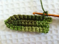 Folha palma passo a passo - www.croche.com (24)