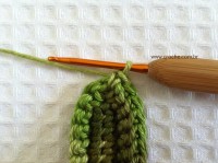 Folha palma passo a passo - www.croche.com (27)