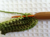 Folha palma passo a passo - www.croche.com (30)