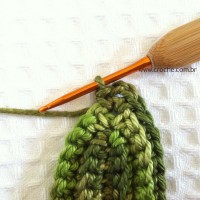 Folha palma passo a passo - www.croche.com (39)