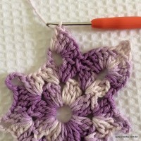 Borboleta de crochê passo a passo (33)