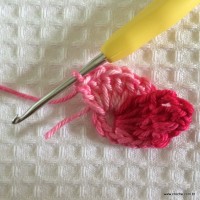 Flor catavento dupla sem miolo (11)