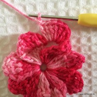 Flor catavento dupla sem miolo (24)
