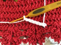 Tapete oval bico duplo - tampa do vaso parte 2 (4)