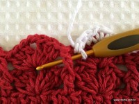 Tapete oval bico duplo - tampa do vaso parte1 (100)