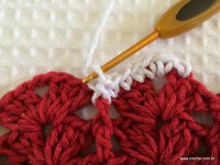 Tapete oval bico duplo - tampa do vaso parte1 (101)