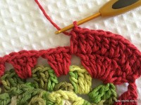 Tapete oval bico duplo - tampa do vaso parte1 (45)