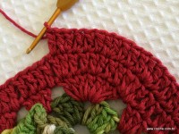 Tapete oval bico duplo - tampa do vaso parte1 (63)