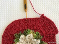 Tapete oval bico duplo - tampa do vaso parte1 (72)