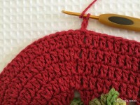 Tapete oval bico duplo - tampa do vaso parte1 (80)