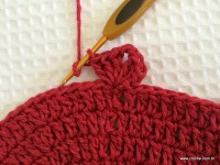 Tapete oval bico duplo - tampa do vaso parte1 (81)