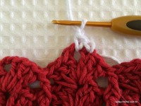 Tapete oval bico duplo - tampa do vaso parte1 (97)