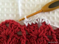 Tapete oval bico duplo - tampa do vaso parte1 (99)