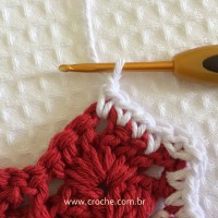 Tapete oval bico duplo - tapete do vaso parte2 (103)