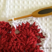 Tapete oval bico duplo - tapete do vaso parte2 (107)