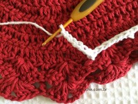 Tapete oval bico duplo - tapete do vaso parte2 (11)