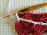 Tapete oval bico duplo - tapete do vaso parte2 (17)