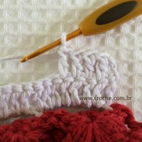 Tapete oval bico duplo - tapete do vaso parte2 (23)