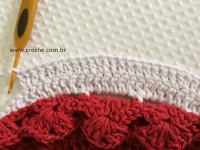 Tapete oval bico duplo - tapete do vaso parte2 (32)