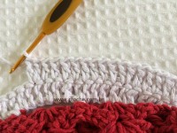 Tapete oval bico duplo - tapete do vaso parte2 (35)