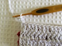 Tapete oval bico duplo - tapete do vaso parte2 (54)