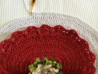 Tapete oval bico duplo - tapete do vaso parte2 (69)